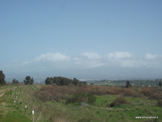 lle del Simeto-24-02-2013 10-43-56